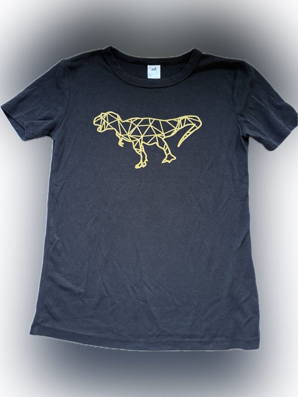 ✨ Little & Lively Youth Bamboo Short-Sleeve Tee - Geometric T-Rex ✨